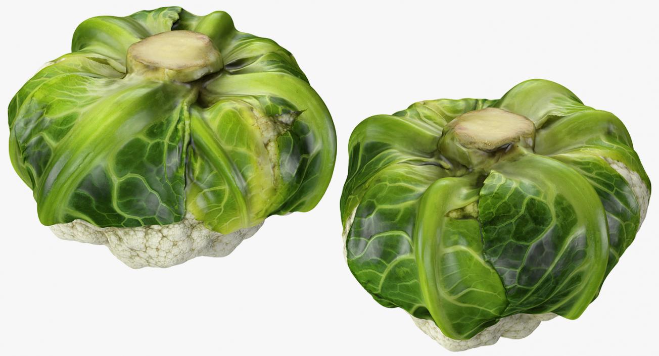 3D Vegetables Collection 2 model