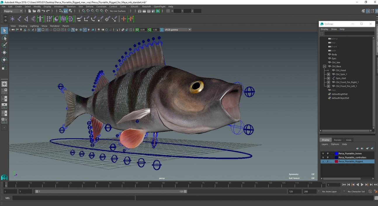 3D Perca Fluviatilis Rigged for Maya model