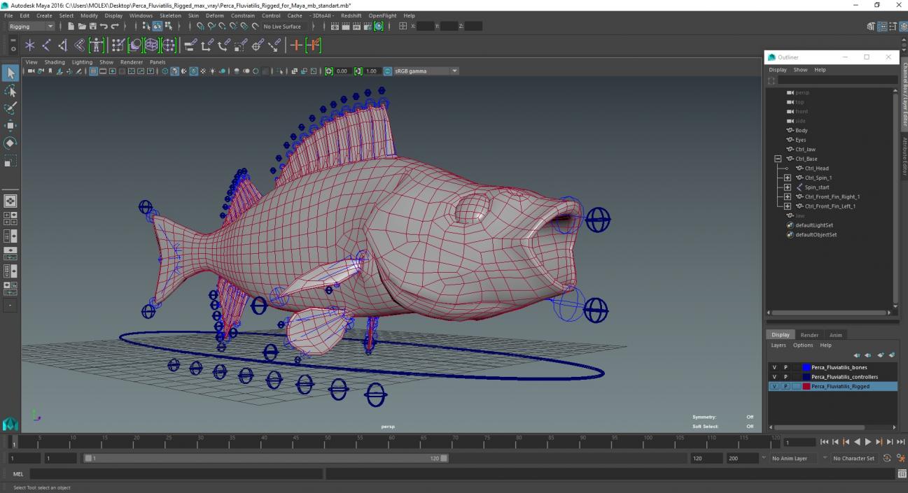 3D Perca Fluviatilis Rigged for Maya model