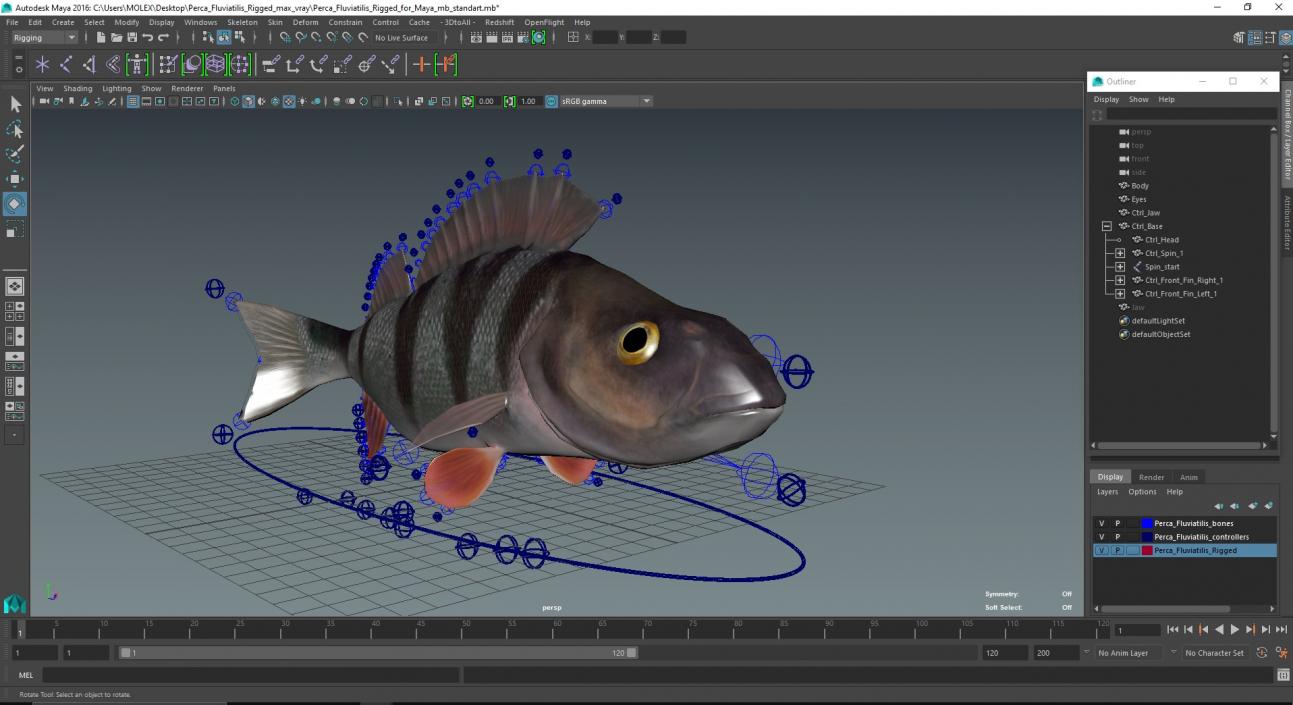 3D Perca Fluviatilis Rigged for Maya model