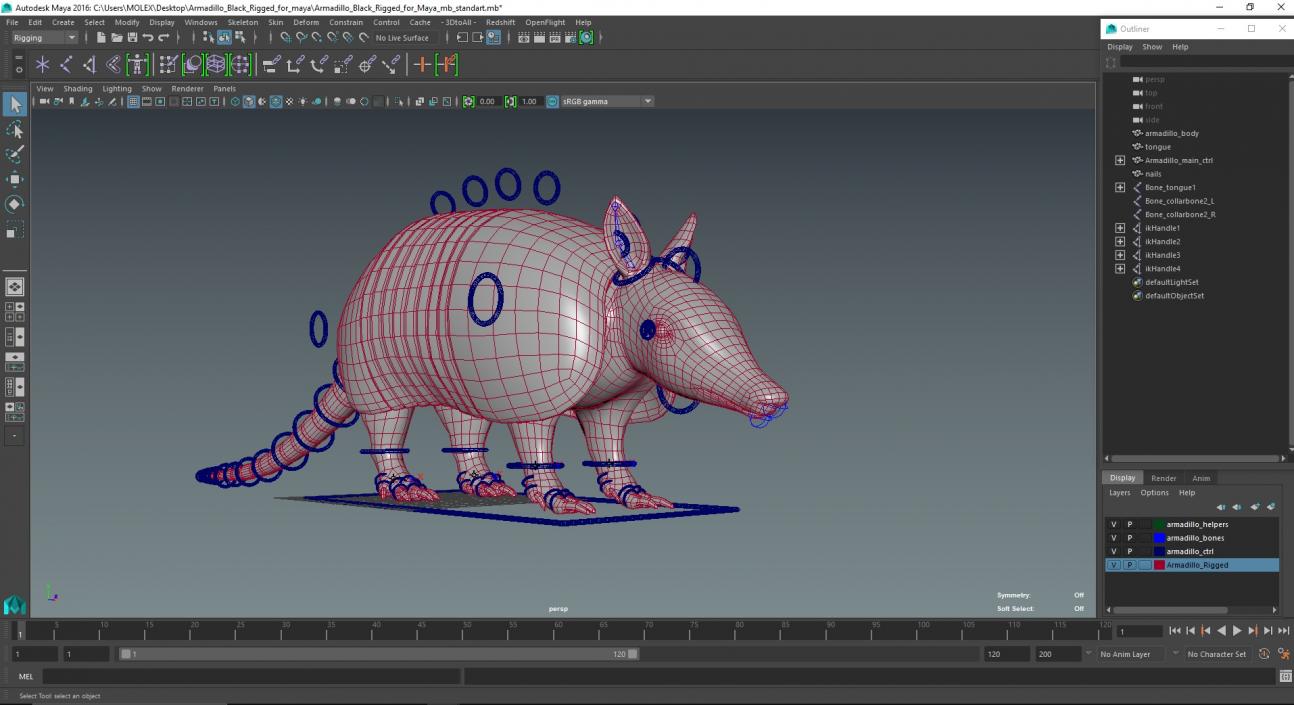 3D Armadillo Black Rigged for Maya 2 model