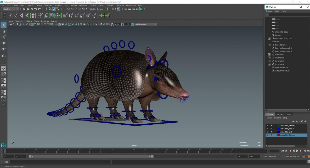 3D Armadillo Black Rigged for Maya 2 model