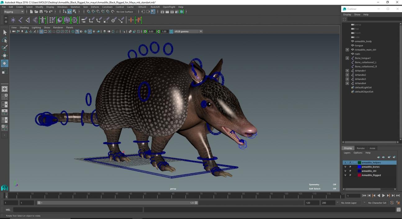 3D Armadillo Black Rigged for Maya 2 model