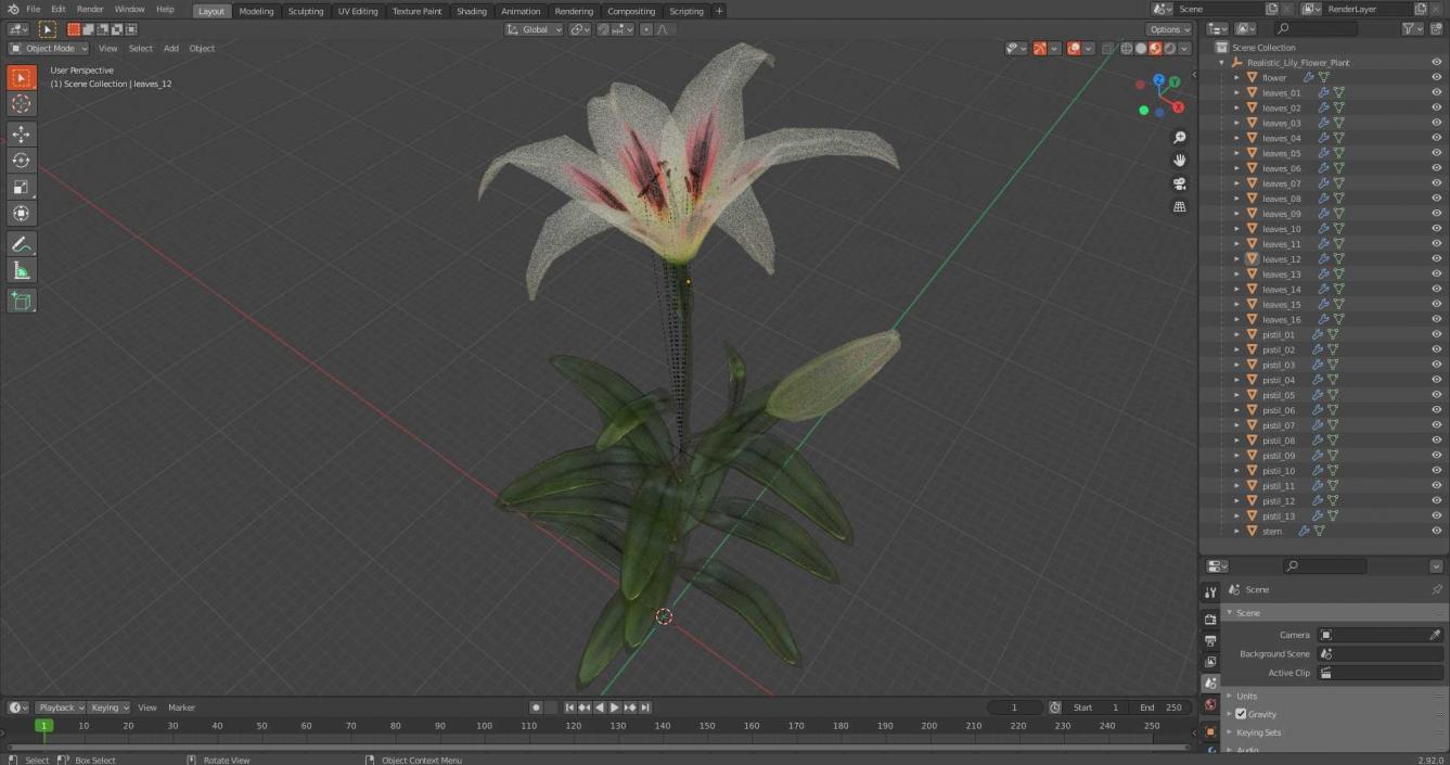 Realistic Lily Flower Plant 3D