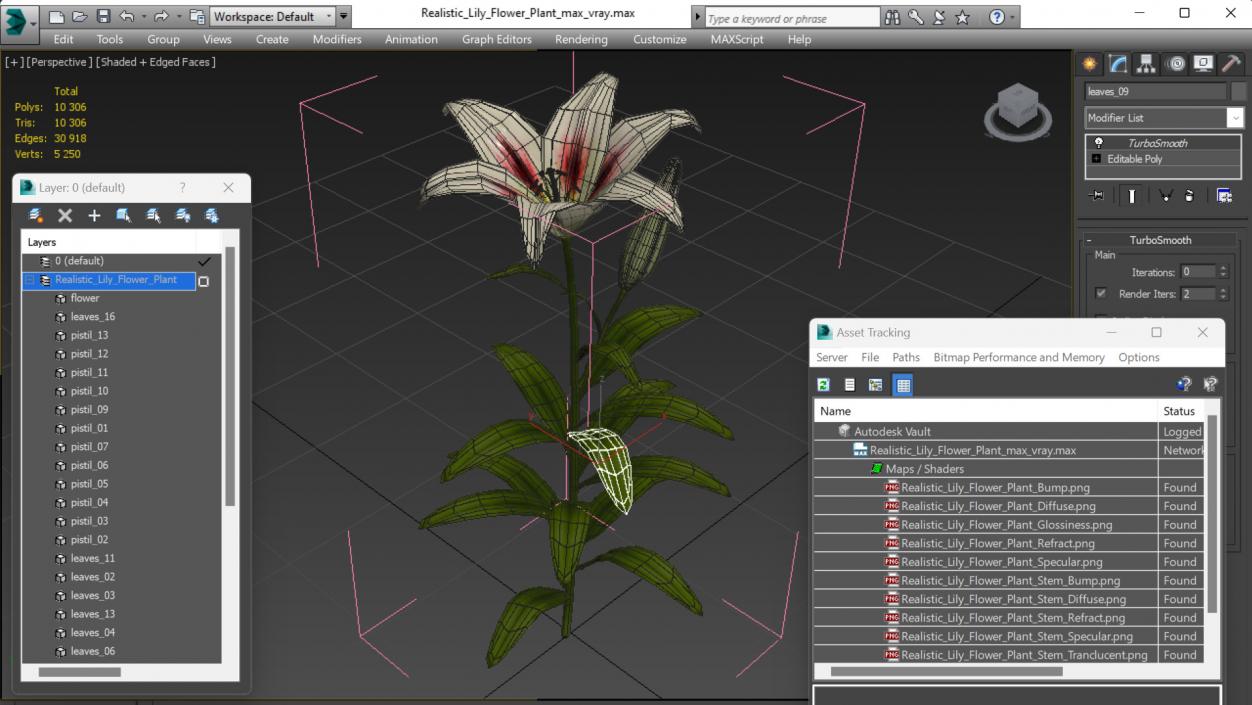 Realistic Lily Flower Plant 3D