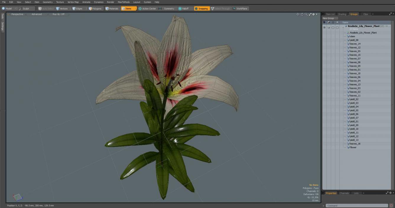 Realistic Lily Flower Plant 3D