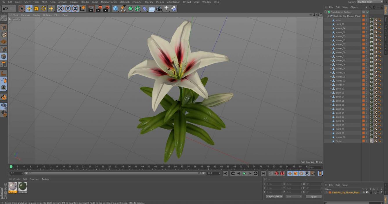 Realistic Lily Flower Plant 3D