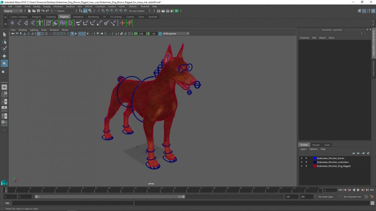 3D Doberman Dog Brown Rigged for Maya 2