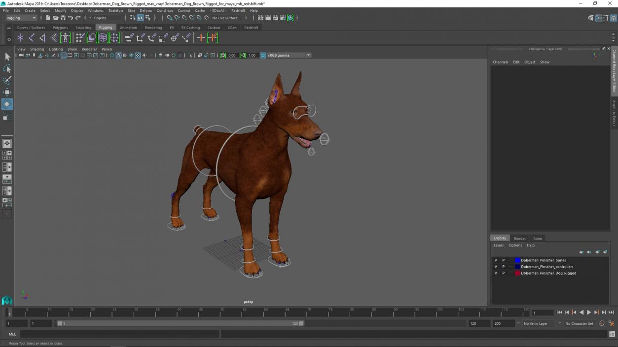 3D Doberman Dog Brown Rigged for Maya 2