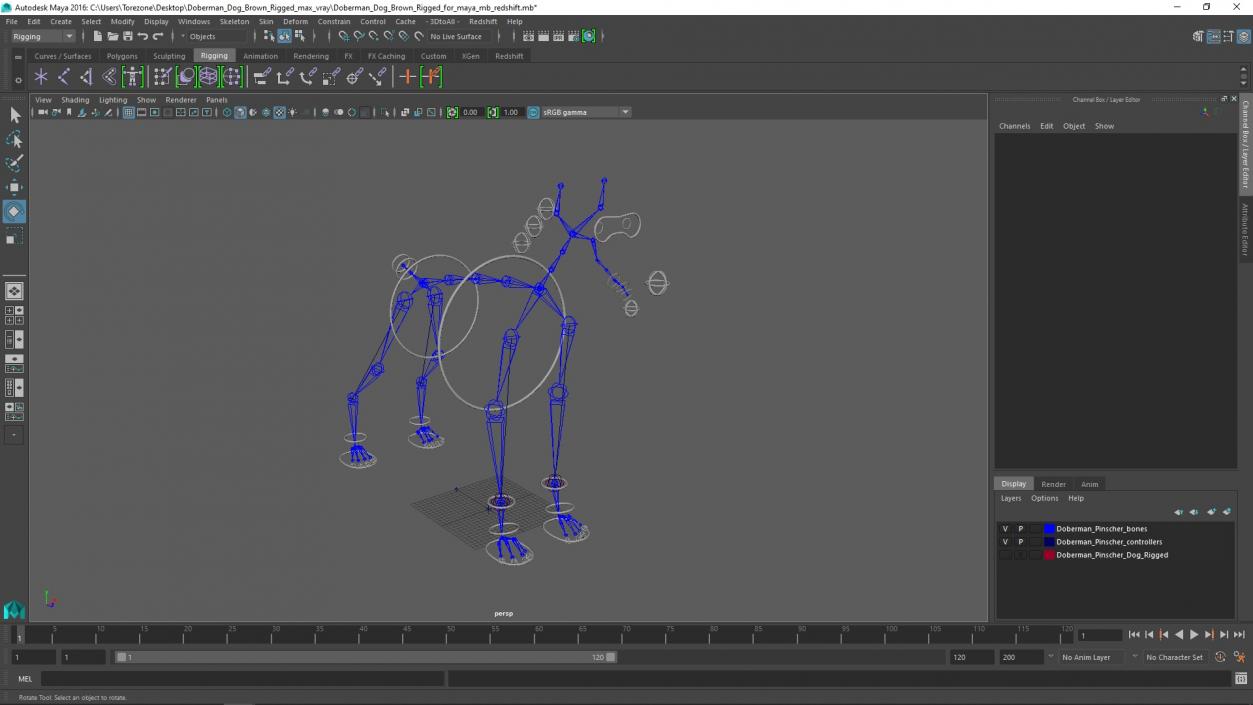 3D Doberman Dog Brown Rigged for Maya 2