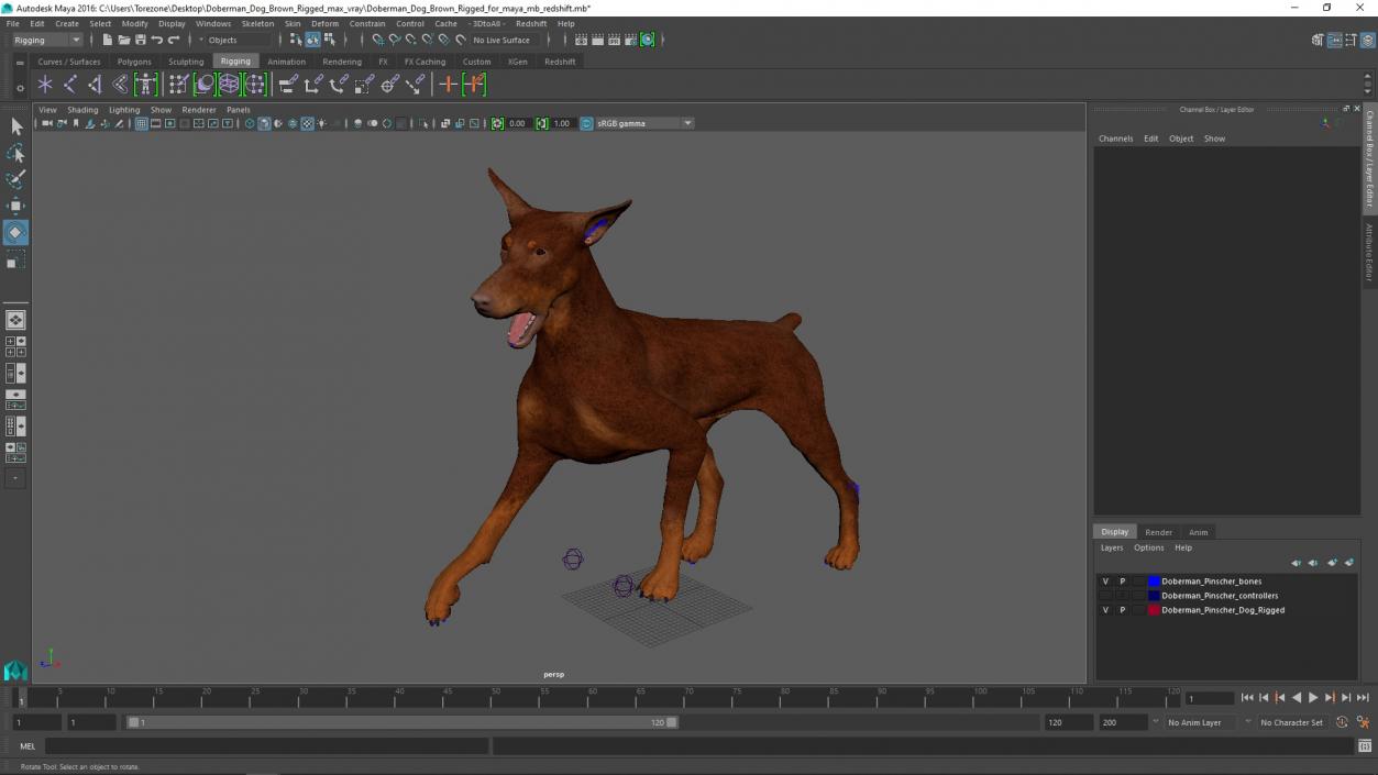 3D Doberman Dog Brown Rigged for Maya 2