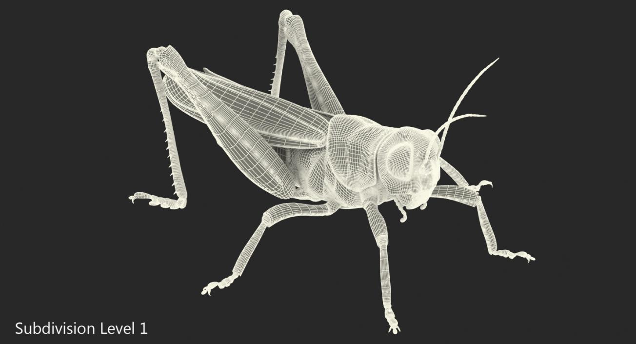 3D Grasshopper