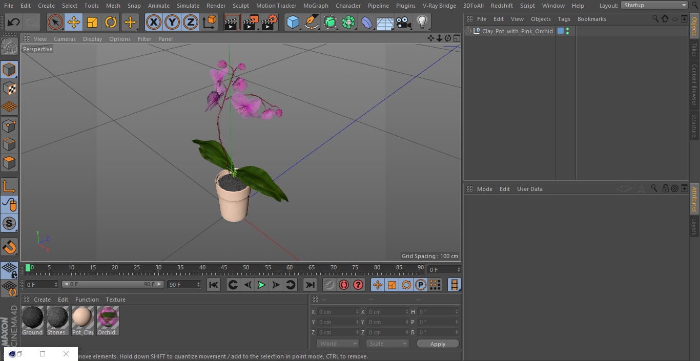 3D model Clay Pot with Pink Orchid