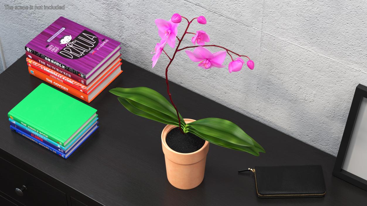 3D model Clay Pot with Pink Orchid