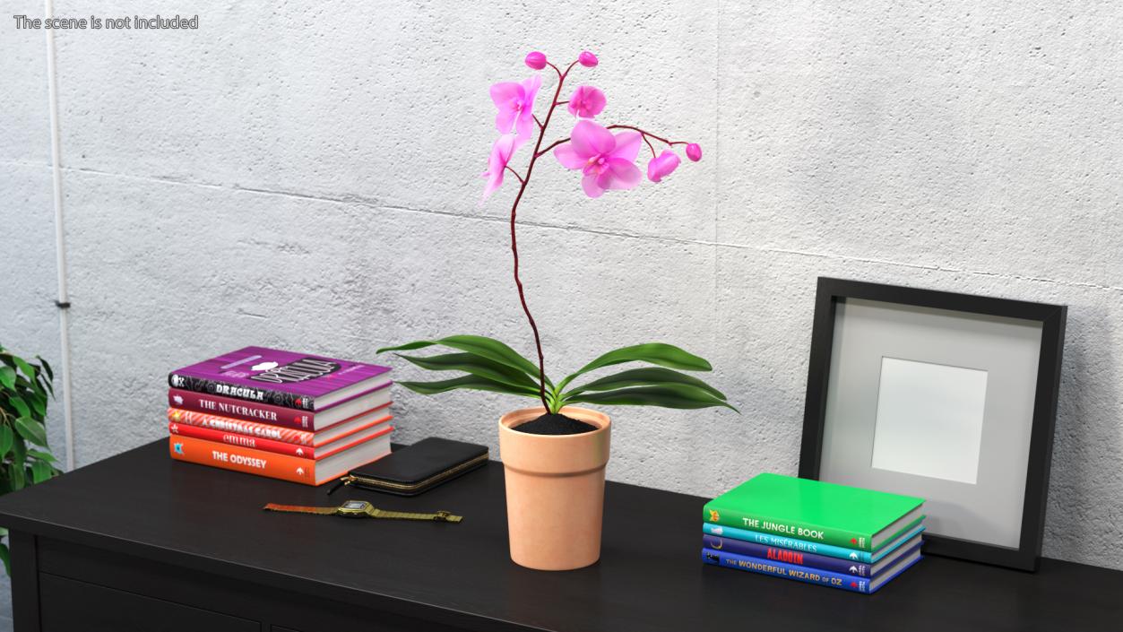 3D model Clay Pot with Pink Orchid