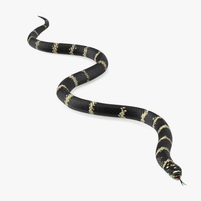 3D Eastern Kingsnake Rigged for Cinema 4D model