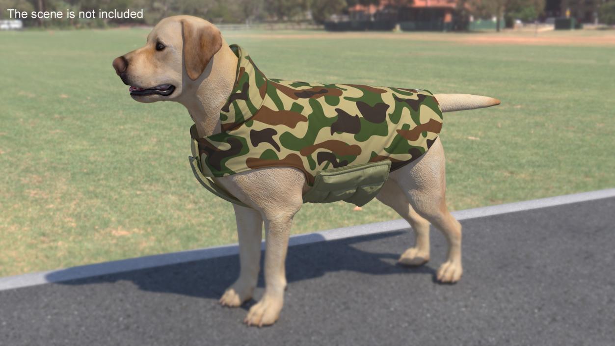 Dog Coat Camouflage 3D model