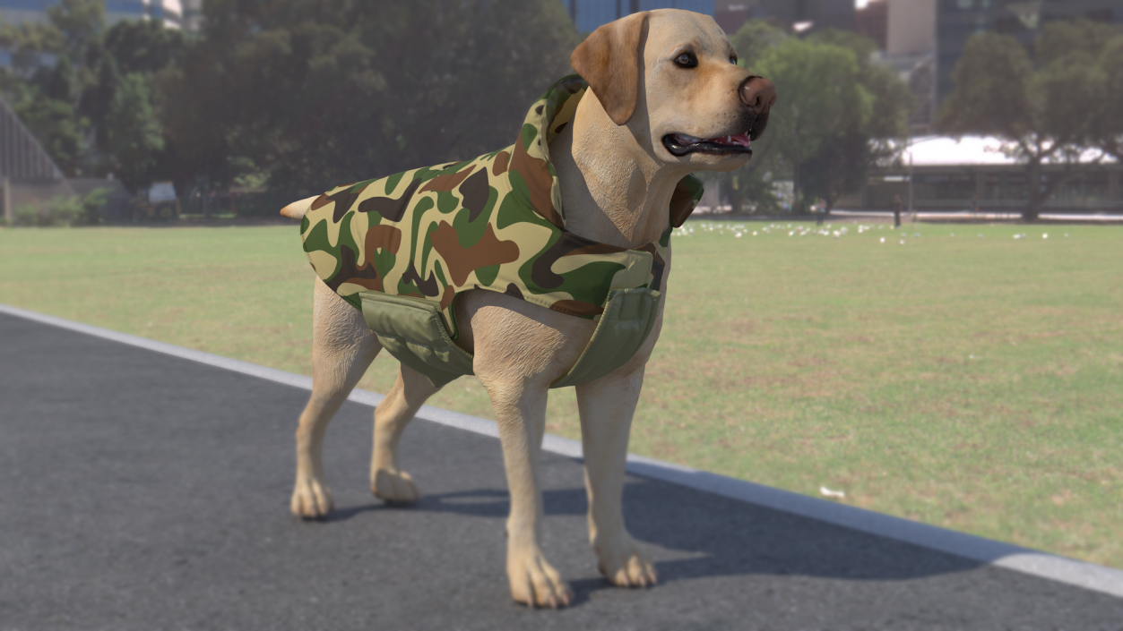 Dog Coat Camouflage 3D model