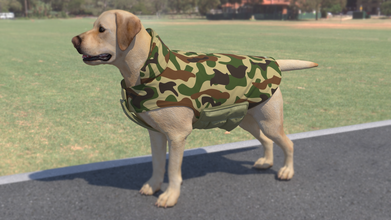 Dog Coat Camouflage 3D model