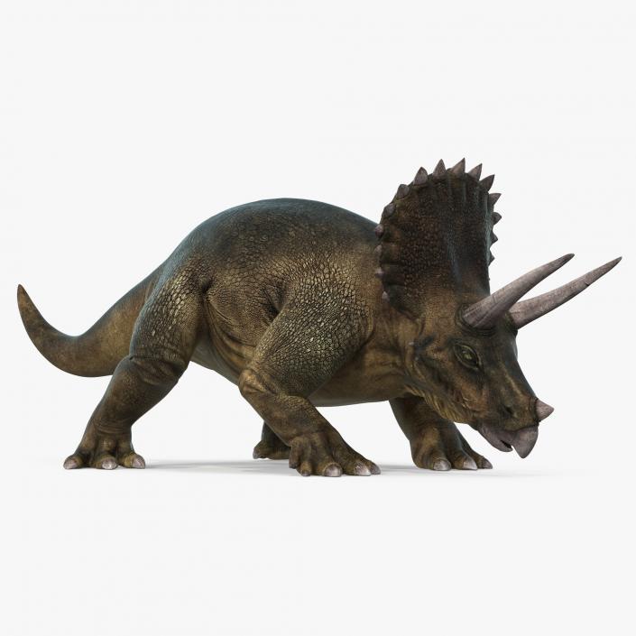 Triceratops Walking Pose 3D model