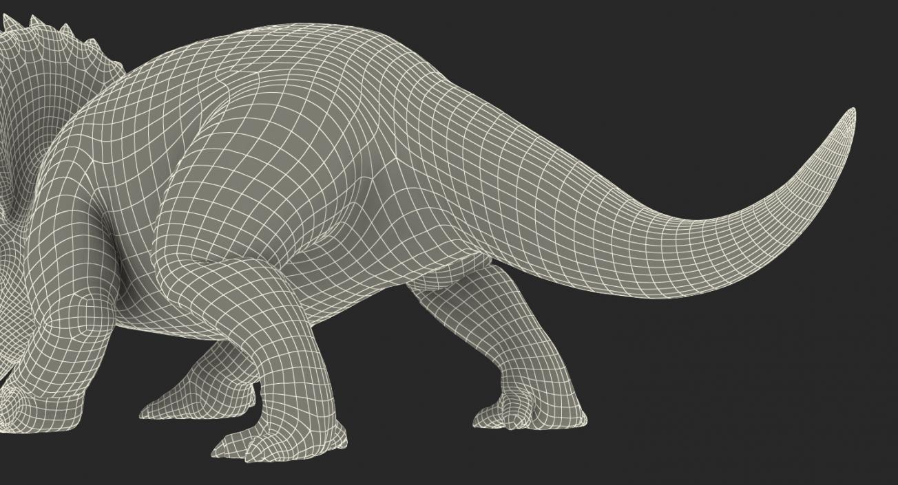 Triceratops Walking Pose 3D model