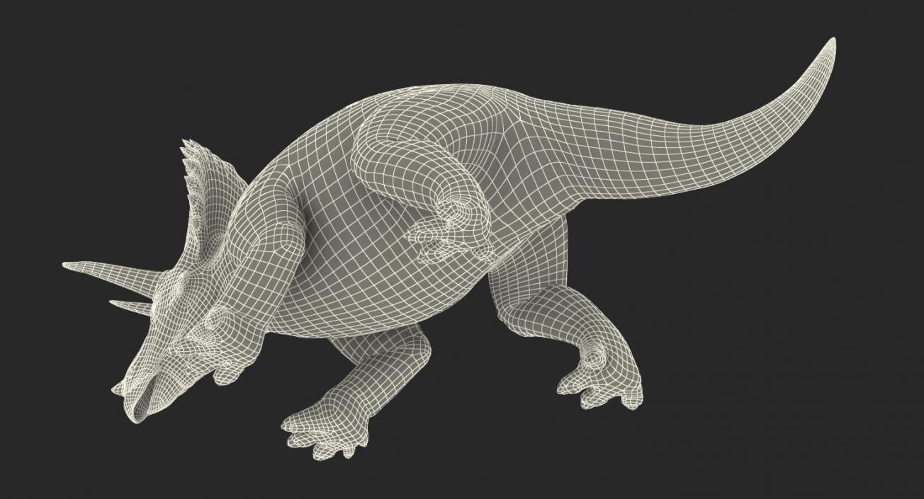 Triceratops Walking Pose 3D model