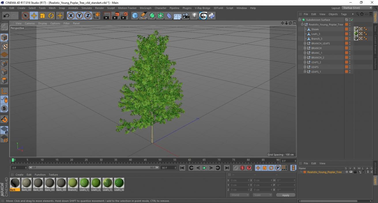 Realistic Young Poplar Tree 3D