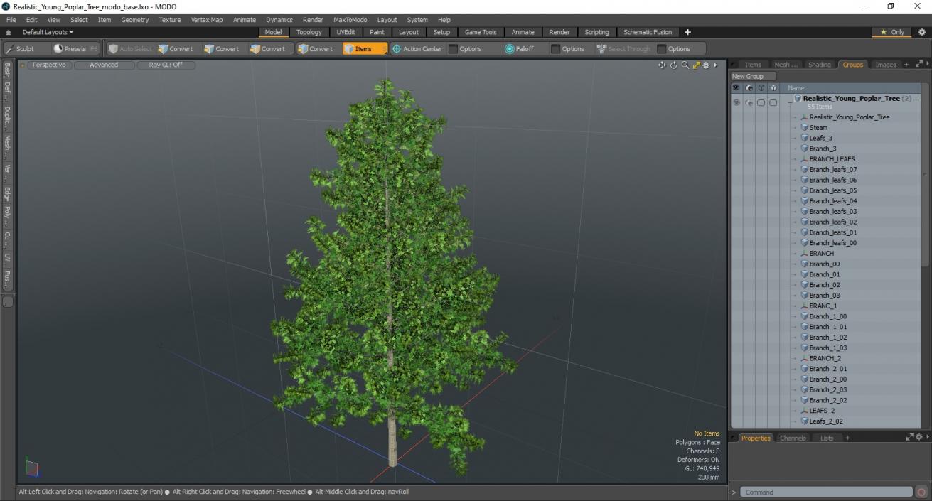 Realistic Young Poplar Tree 3D