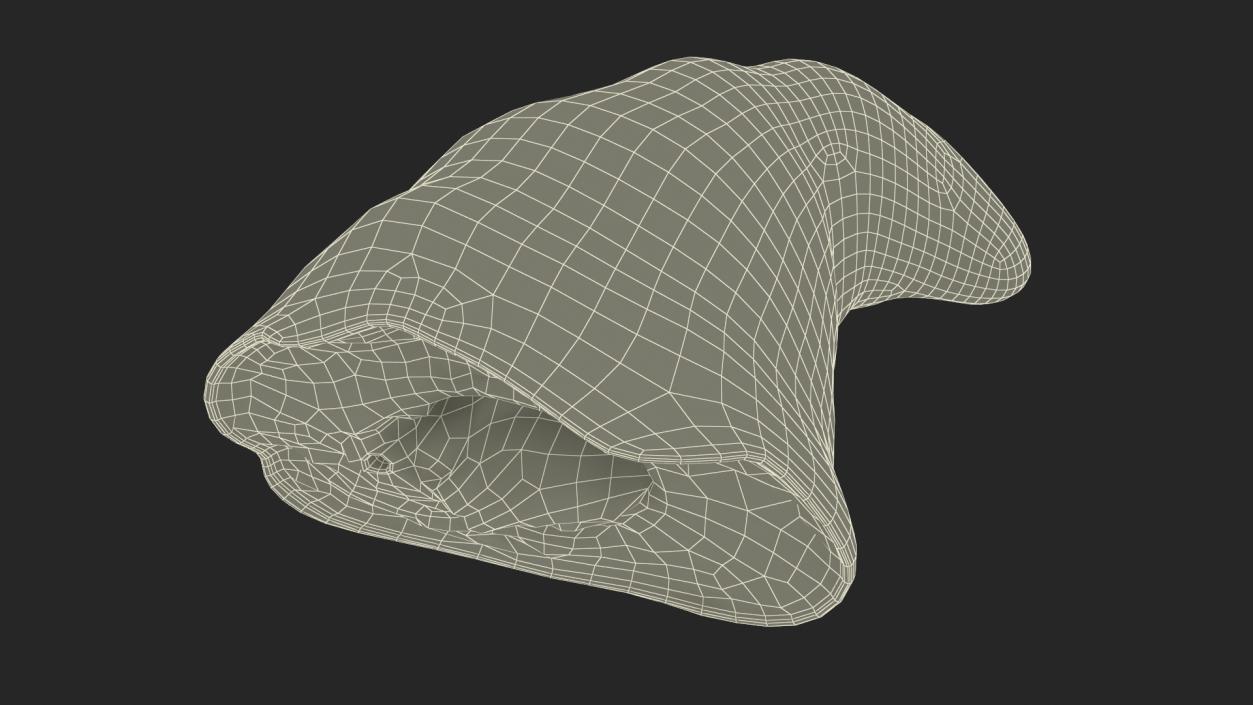 3D model Piece of Croissant 2