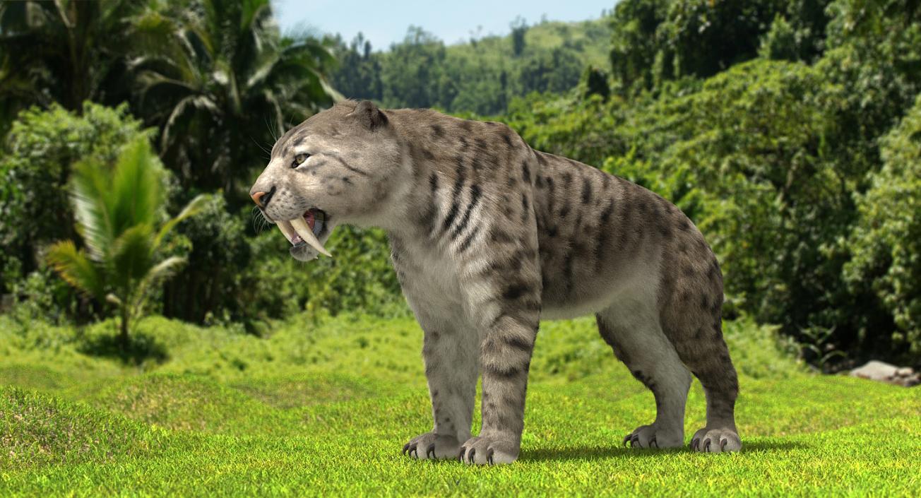 3D Arctic Saber Tooth Cat Rigged with Fur model