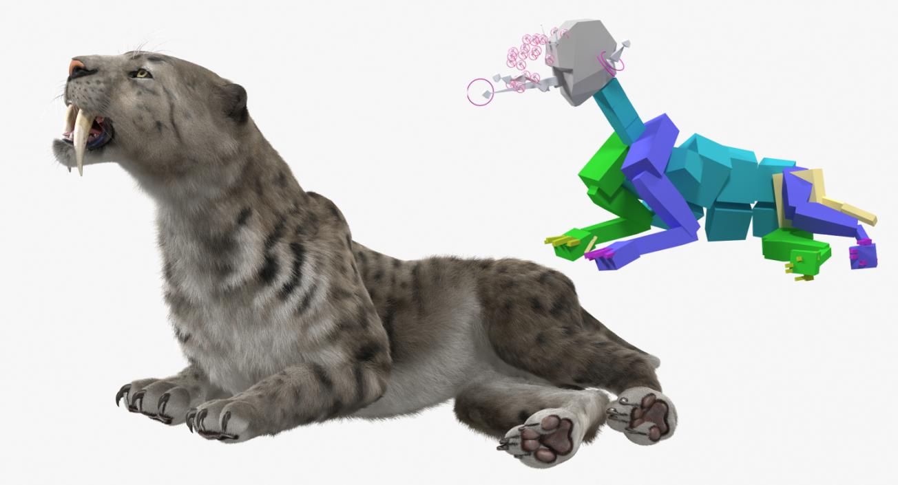 3D Arctic Saber Tooth Cat Rigged with Fur model