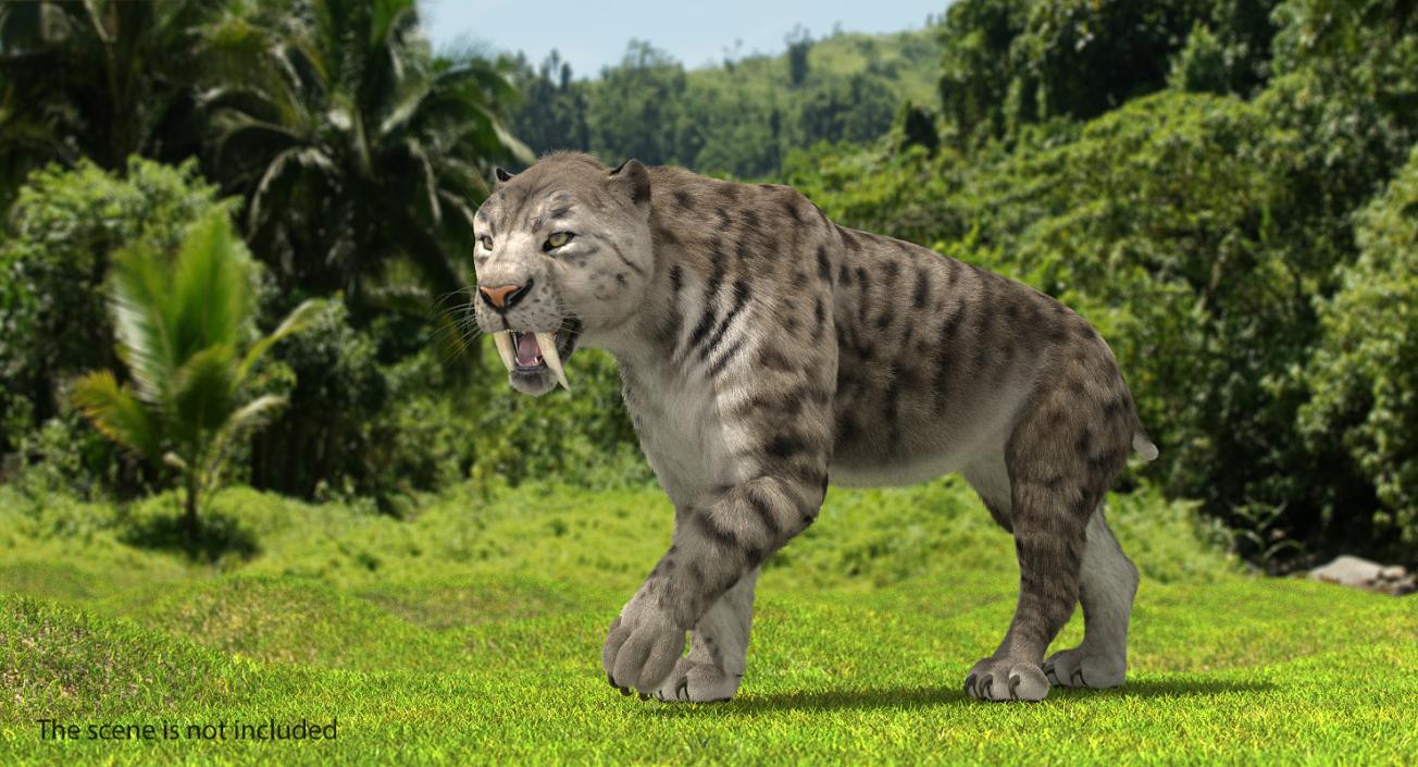 3D Arctic Saber Tooth Cat Rigged with Fur model