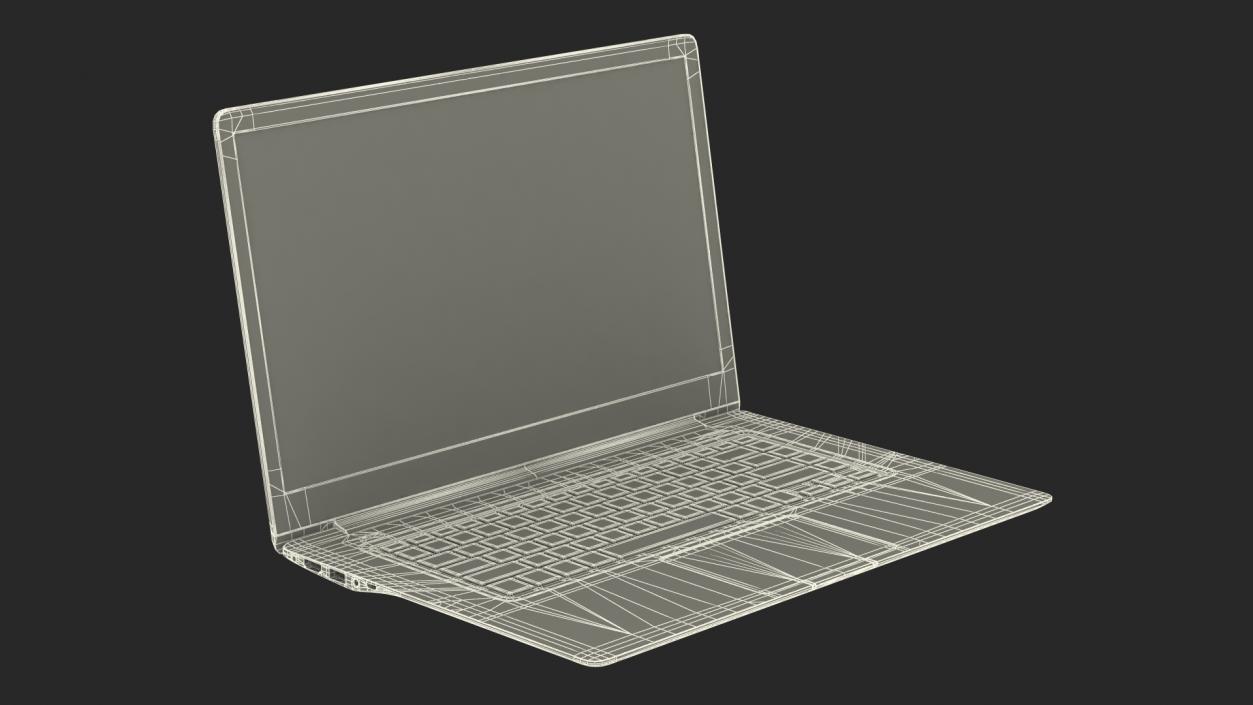 3D Slim Design Laptop model