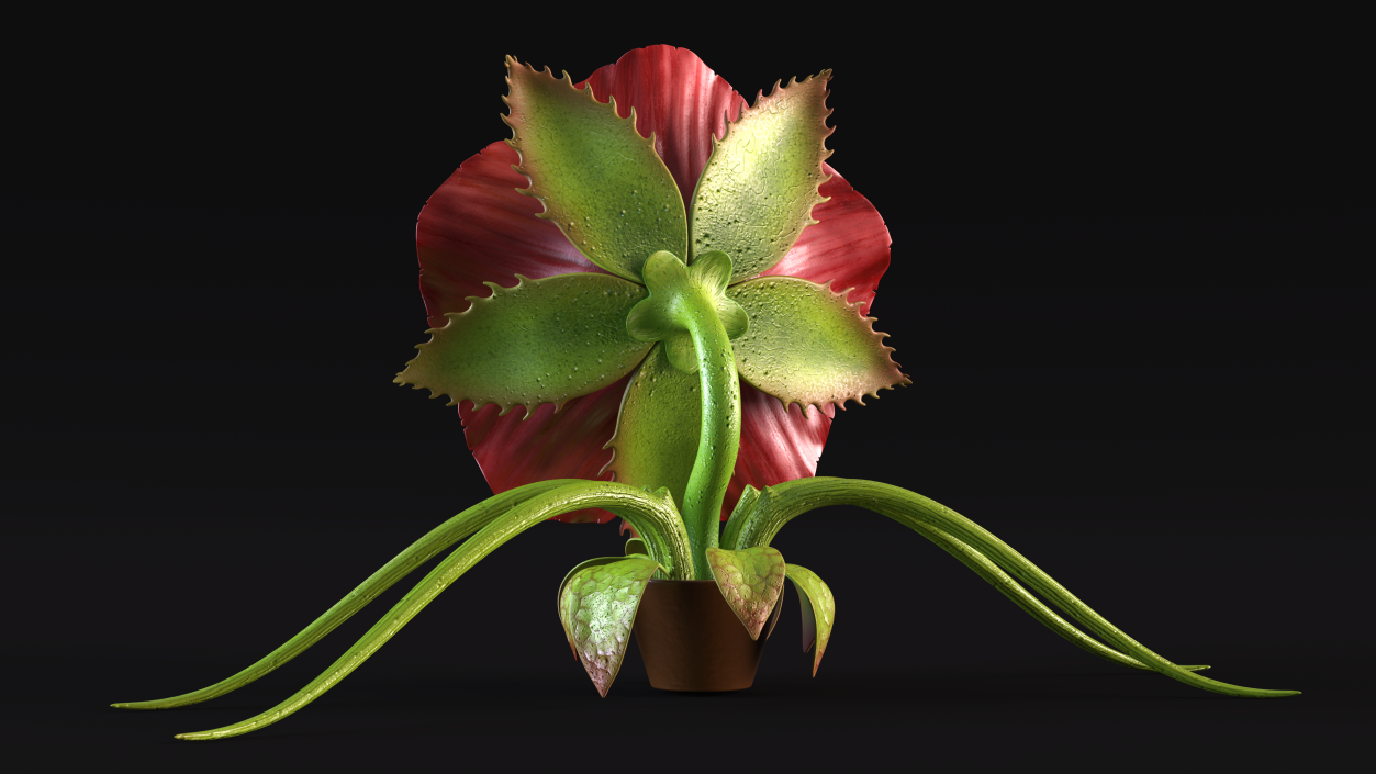 3D Monster Plant model