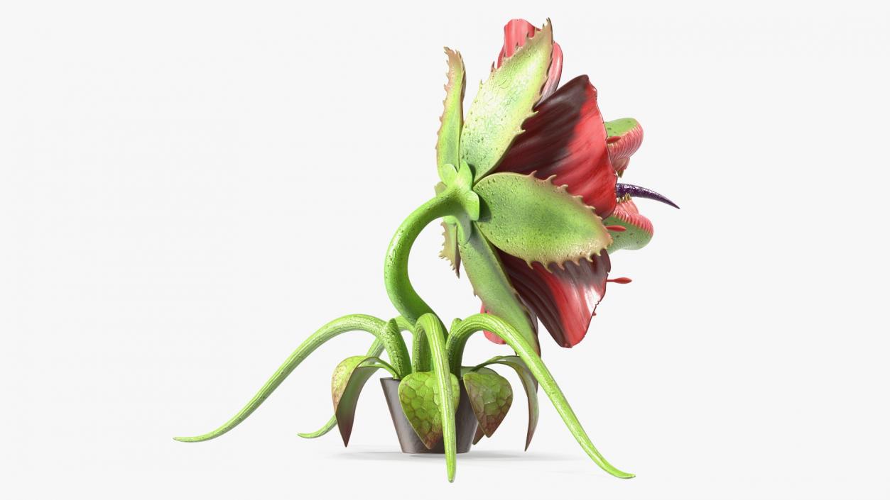 3D Monster Plant model