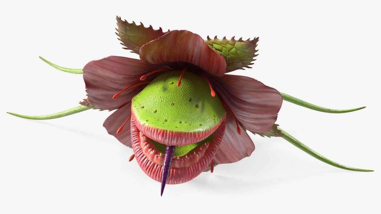 3D Monster Plant model