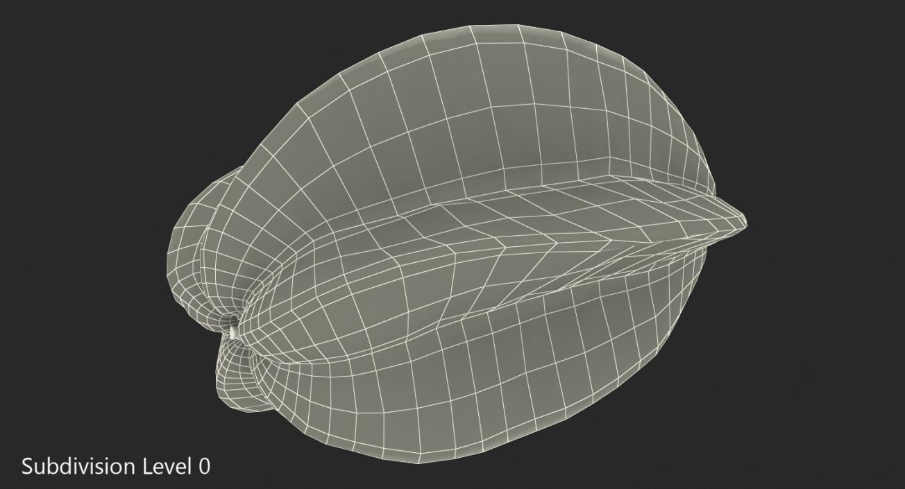 Star Fruit Or Carambola Fruit 3D model