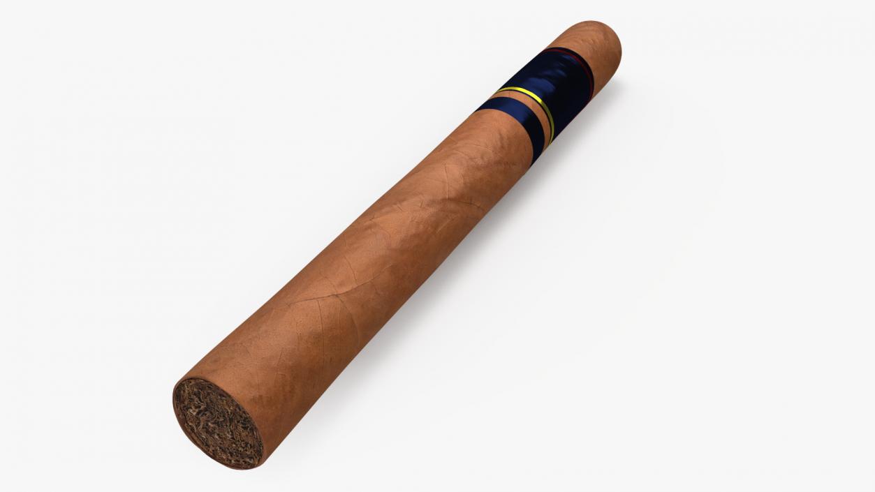 Toro Grande Cigar 2 3D model