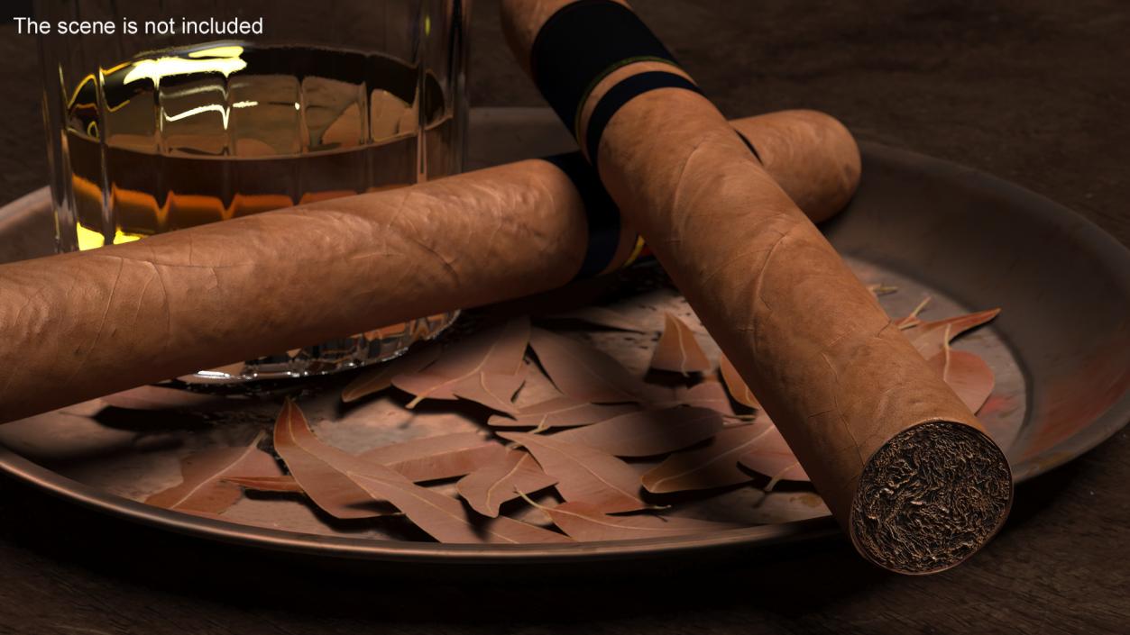 Toro Grande Cigar 2 3D model