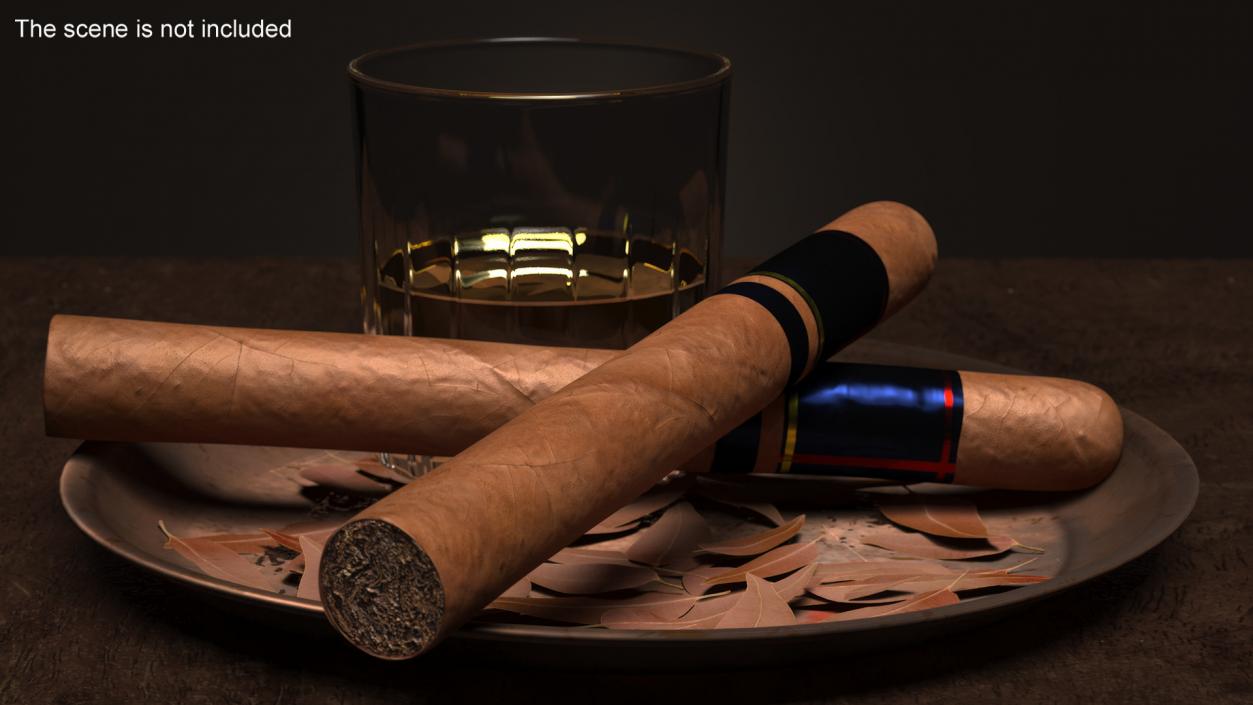 Toro Grande Cigar 2 3D model