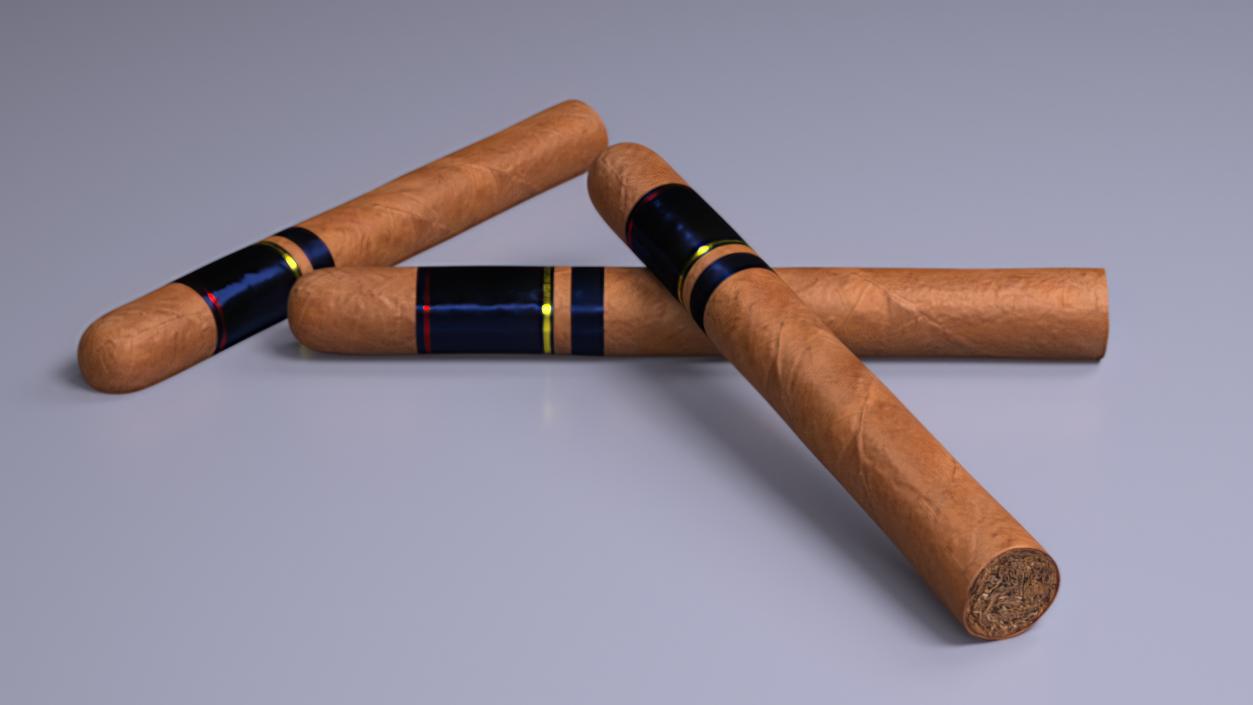 Toro Grande Cigar 2 3D model