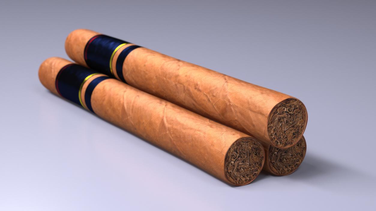 Toro Grande Cigar 2 3D model