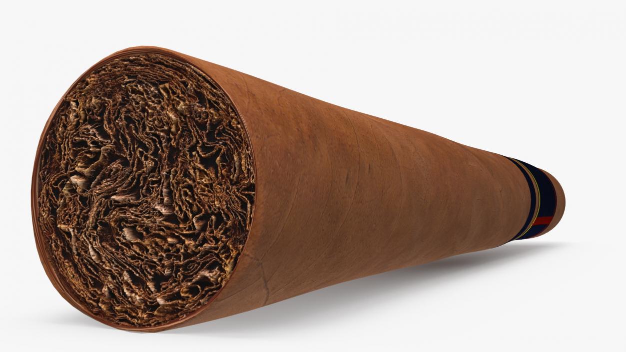 Toro Grande Cigar 2 3D model