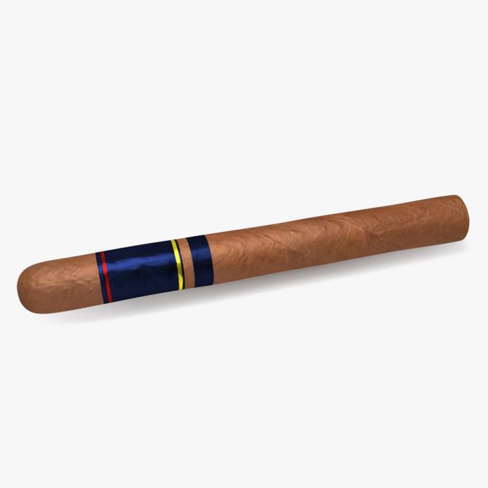 Toro Grande Cigar 2 3D model