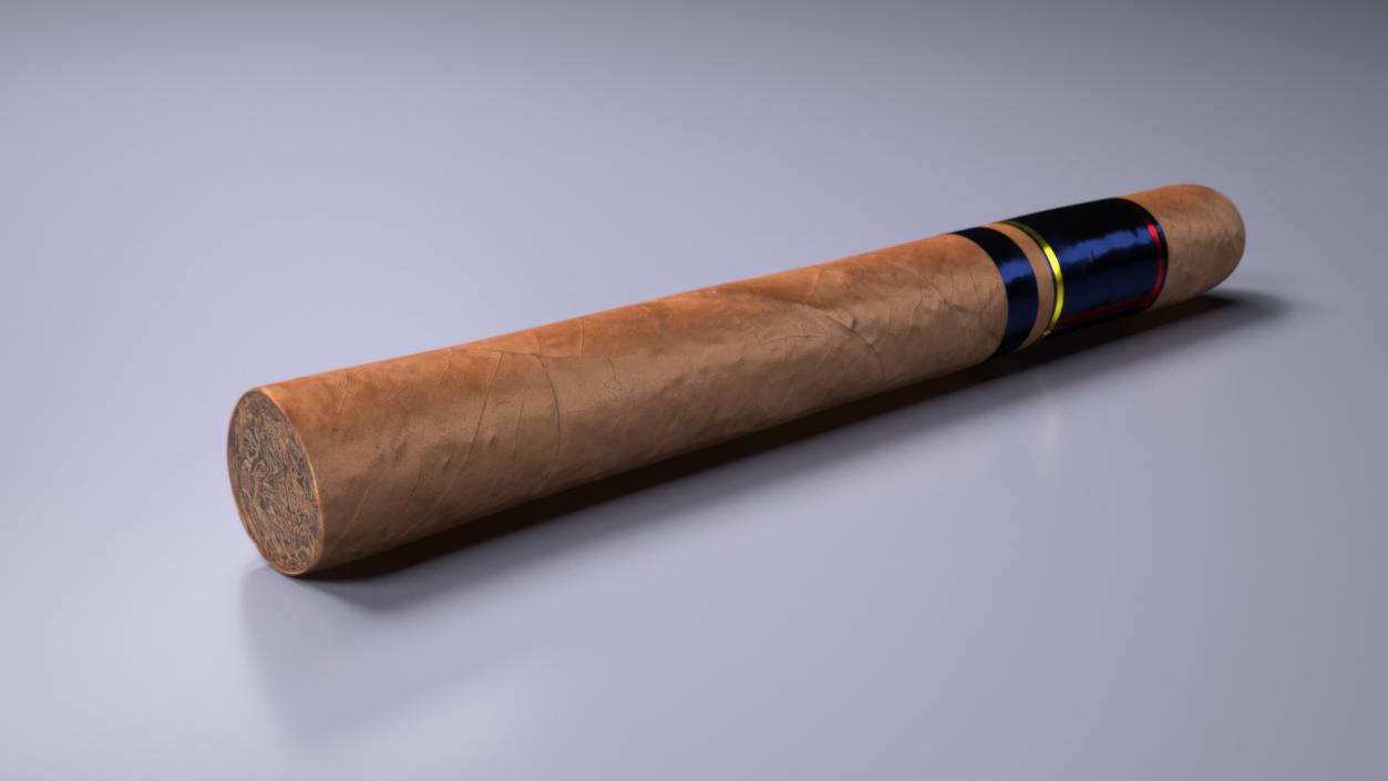 Toro Grande Cigar 2 3D model