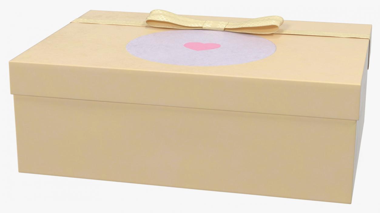 Simple Design Gift Box 3D