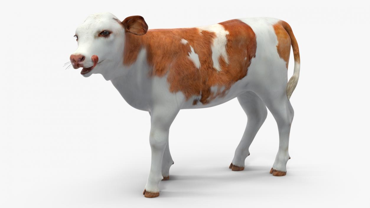 Cow Calf Rigged for Cinema 4D 3D model