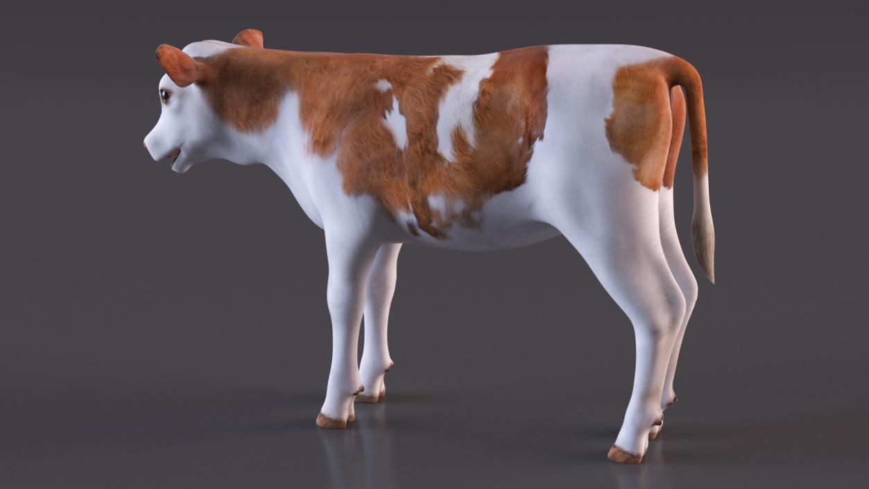 Cow Calf Rigged for Cinema 4D 3D model