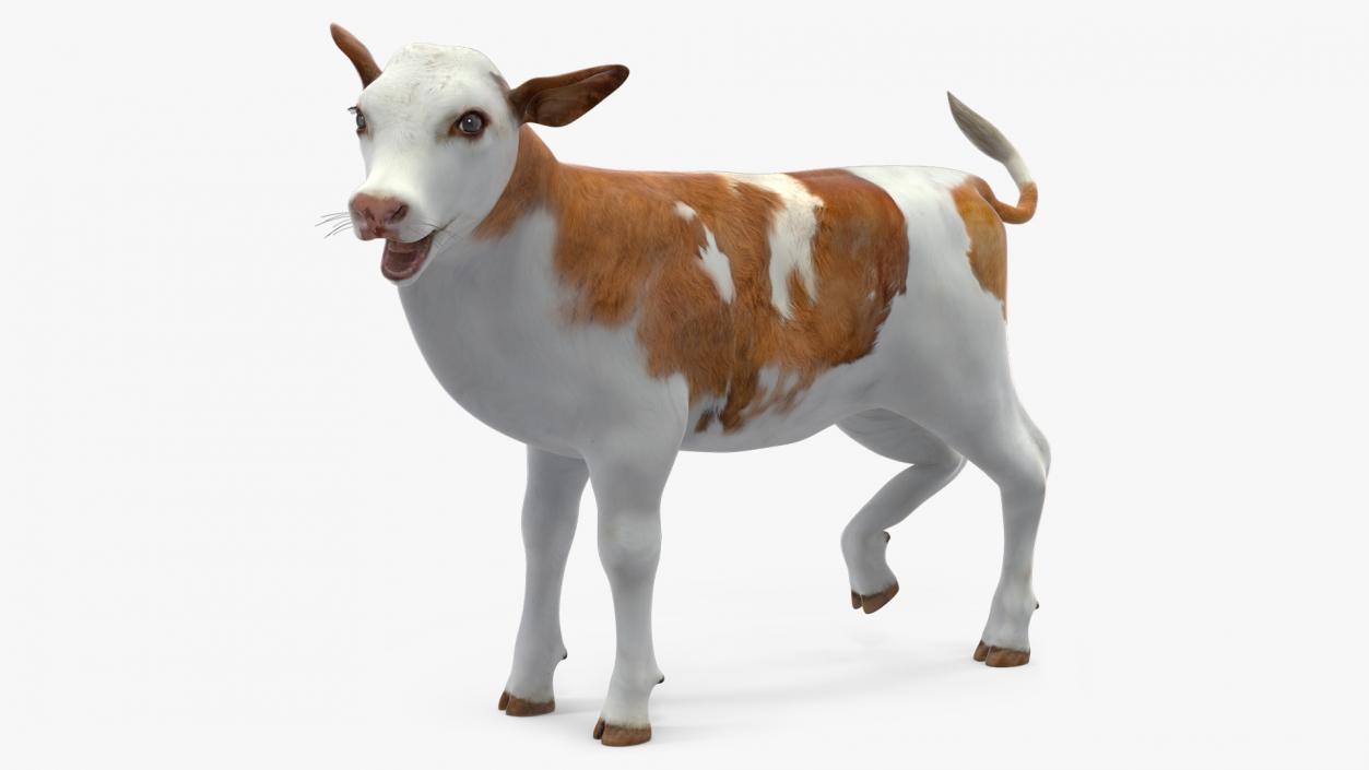 Cow Calf Rigged for Cinema 4D 3D model