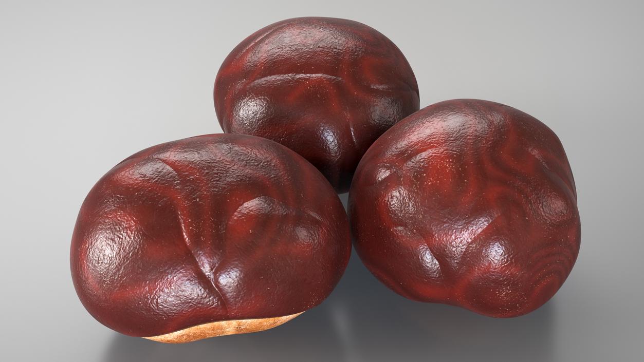 3D Horse Chestnut Set model